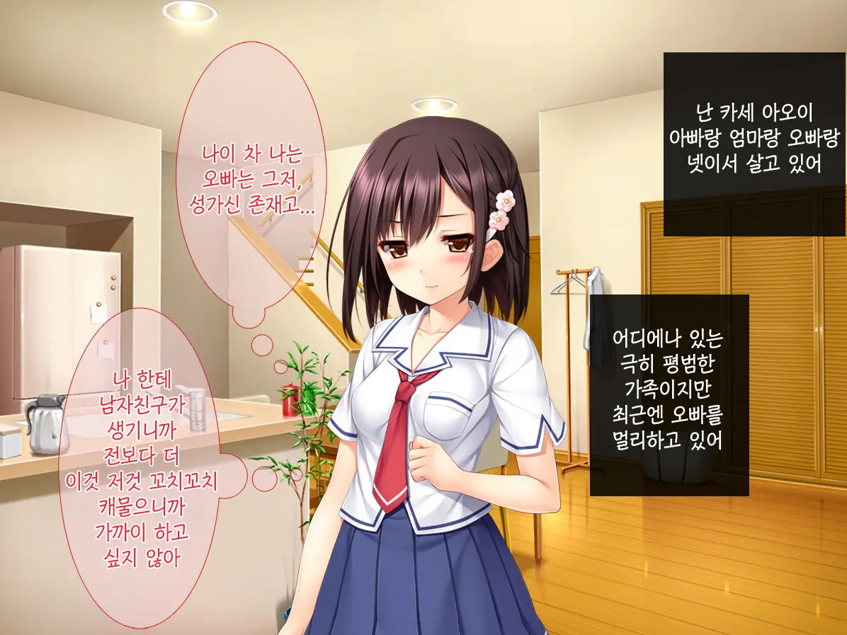 Imouto Ga Suki Sugiru Aniki Ga Kareshi Kara Netoru | 여동생을 엄청 좋아한 오빠가 남자친구에게서 여동생 빼앗기